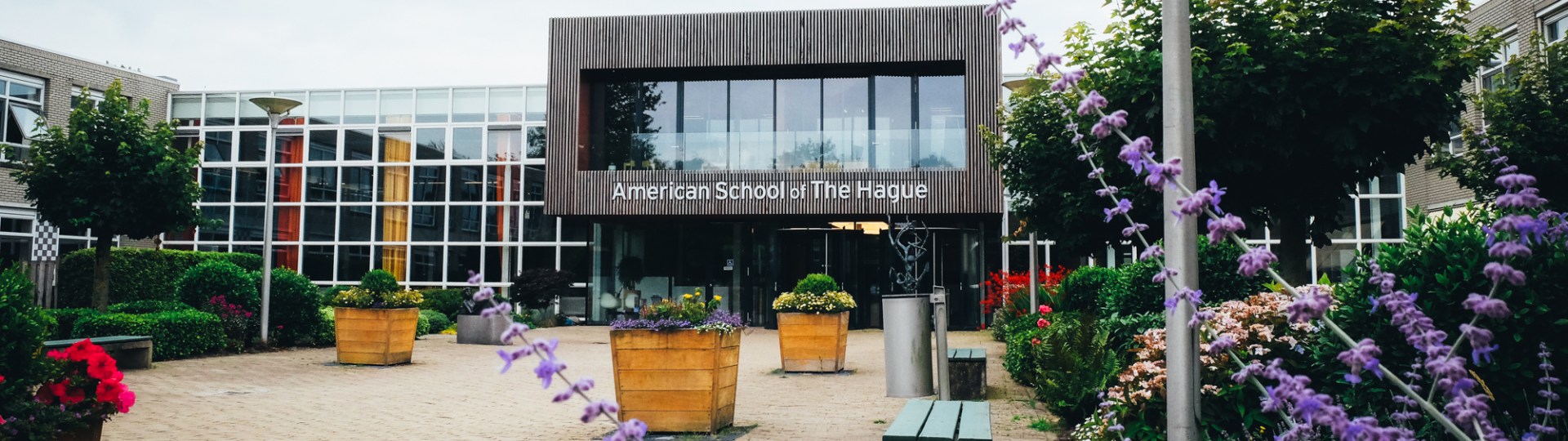 americanschool 3 americanschool 3
