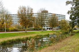 vogelwiede amersfoort amersfoort vogelwiede amersfoort amersfoort