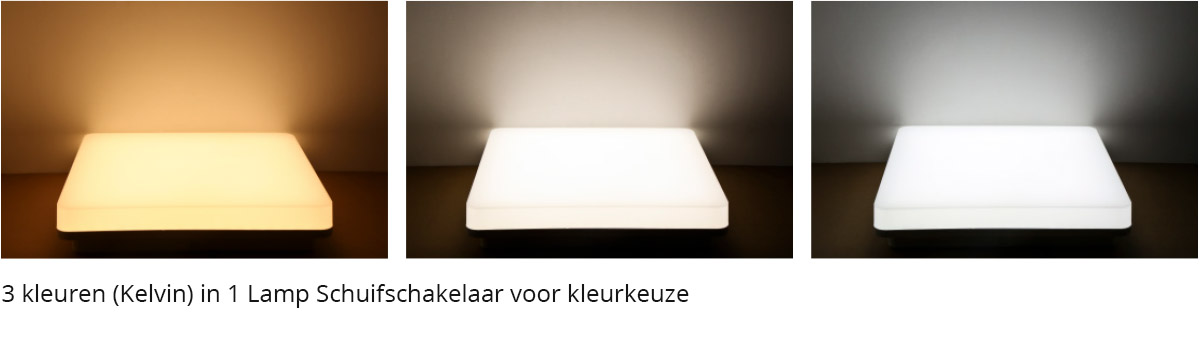 serie_rijn_vierkant